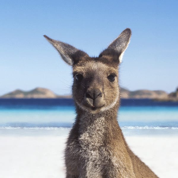 why to NOT go to australia | 2015-11-04