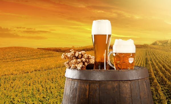 wheat beer | 2015-12-30