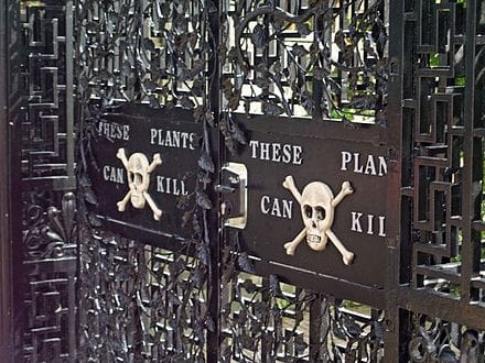 poison garden | 2017-05-31