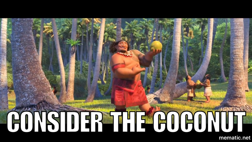 moana_ref